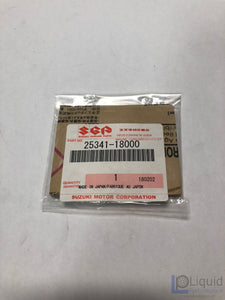 Shift Drum Retention Plate & Stop 1024313-SA0-100