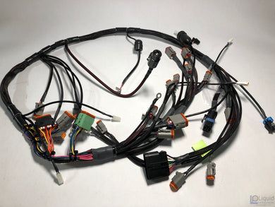 Chassis Harness 3211000-SA0-114