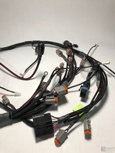 Chassis Harness 3211000-SA0-114