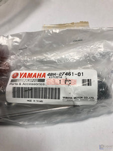 foot peg rider right 4216012-SA0-100